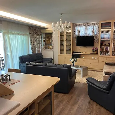 Anca Apartment PalaiónTsiflíkion Extérieur photo