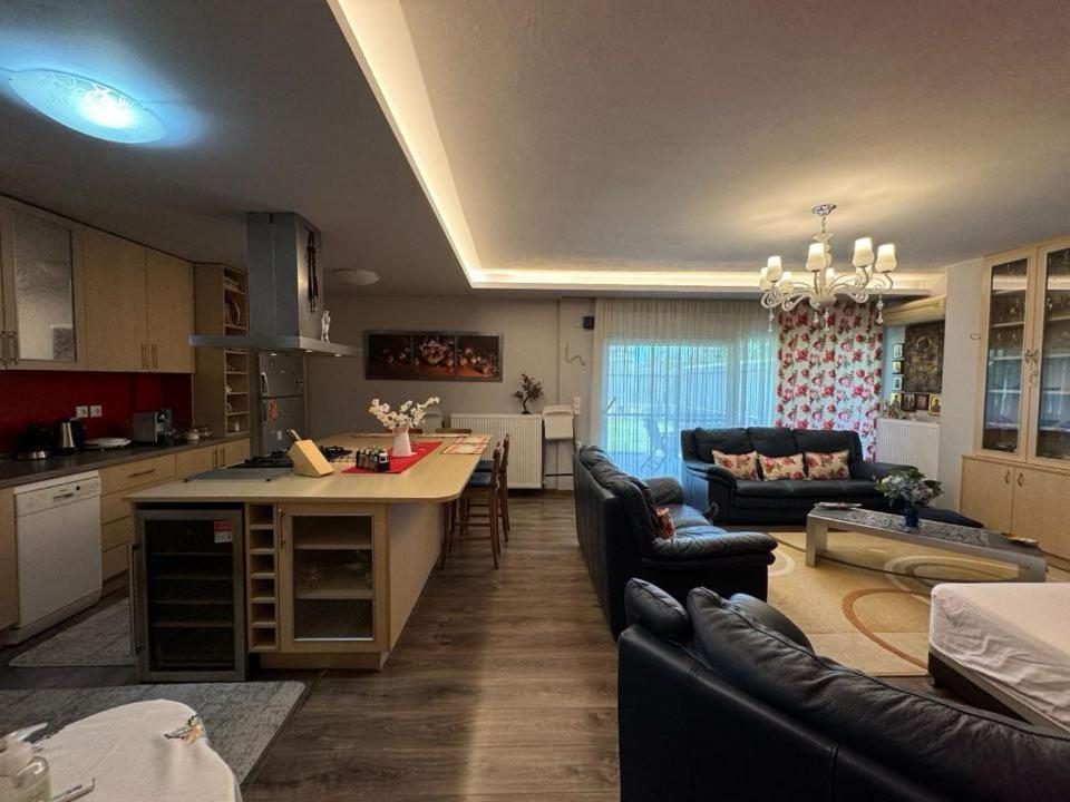 Anca Apartment Palaiontsiflikion